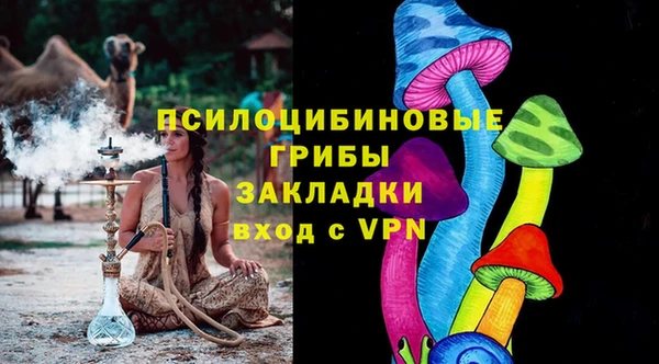 спиды Алексин