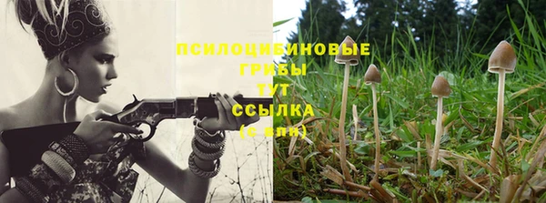 каннабис Алексеевка