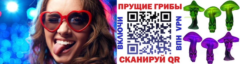 где купить наркоту Грязовец Галлюциногенные грибы MAGIC MUSHROOMS